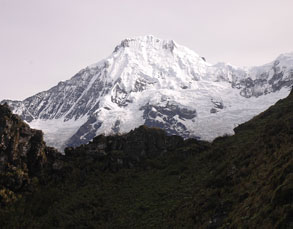 Signla Pass